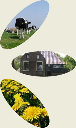 onze_visie
