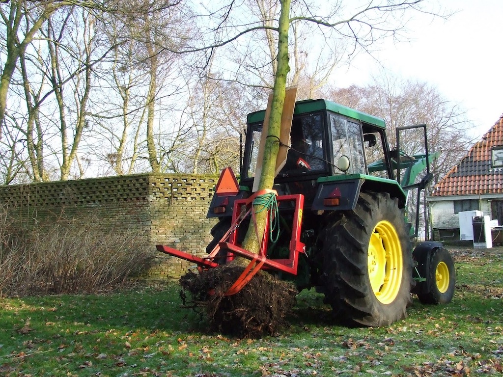 eikverplanten29jan2011